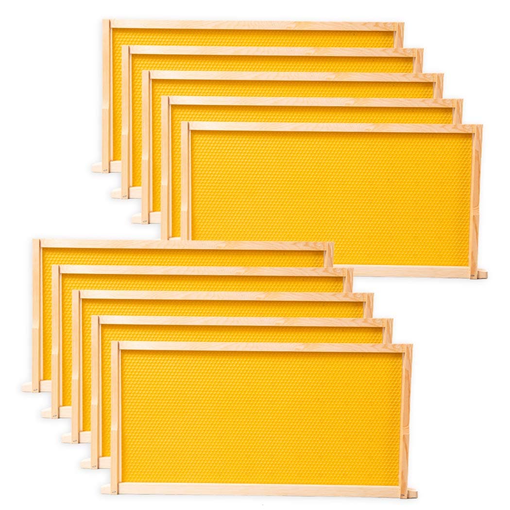 10-Pack Foundation with Frames,9-1/8-Inch