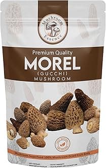 Mushroom Essence Morel Mushroom Dried Wild Harvested Delicacy | Gucchi Mushroom Jumbo Size Tail Cut | 25 gm Pack of 1