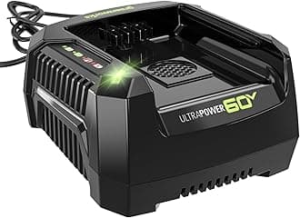 Greenworks Pro 60V Ultra Power 6A Rapid Charger - Works with All Greenworks Batteries