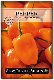 Sow Right Seeds - Habanero Orange Pepper Seeds for Planting - Non-GMO Heirloom Packet with Instructions to Plant and Grow an Outdoor Home Vegetable Garden - Super Hot Chili - High Scoville Rating (1)
