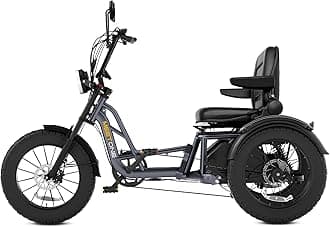 Tour Lite 1200W Rear Drive Electric Tricycle for Adults, 48V 20AH Fat Tire Electric Trike, 25MPH 110Miles, Full Suspension Etrike, Torque Sensor, Reverse & Parking, 550lbs Load (with Upgraded Parts)