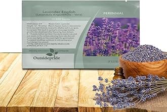 Outsidepride English Lavender Seeds - 5000 Pcs Perennial, Drought-Tolerant & Pollinator Friendly Herb Seeds for Planting Fragrant and Delicate Flowers with Lavender Blooms for Xeriscaping Gardens