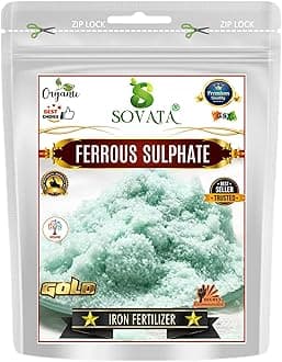 Ferrous Sulphate, Powerful Essentail Organic Fertilizer for Overall Healthy and Fast Growth of All Plants. (900 gm)