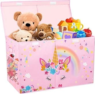 Large Kids Toy Box