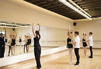 H-A Hans & Alice Gym Mirrors for Home Gym, Wall Mounted Activity Mirrors for Home Gym & Commercial Use 48"x32" (1 Pack)