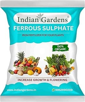 Indian Gardens - Ferrous Sulphate Fertilizer | Micronutrient Iron Fertilizer | Soil Iron Plus |Flowering Plant | Slow-Release Plant Food - 200 Grams