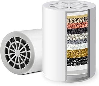 iSpring FSF1 15-Stage Universal Shower Filter Replacement Cartridge, Removes Chlorine, Sediment, Heavy Metal, and Odor, Improves Conditions of Skin, Hair, and Nails, High Output No Clog, White