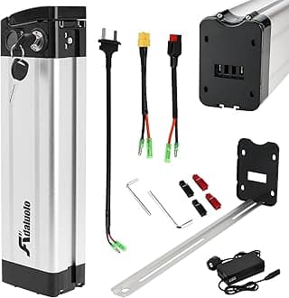 48V Ebike Battery with Charger, 48V 15AH Folding Electric Bike Removable Battery Replacement Silverfish Lithium Bicycle Pedelec Batteries with 2 Port, Safe Lock for 1000W 750W 500W Motor