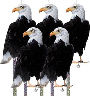 Owl to Keep Birds Away, 5 Pack Bird Scare Hawk Fake Owl, Reflective Hanging Bird Decoration, Bird Control Device to Keep Birds Pigeon Woodpecker Away from Patio Garden