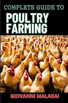 COMPLETE GUIDE TO POULTRY FARMING: Comprehensive Techniques, Best Practices, And Business Strategies For Disease Management And Financial Success For Raising Chickens And More Paperback – Large Print, 21 Jun. 2024