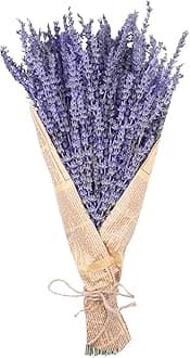 Uieke Dried Lavender Bundles, Natural Dried Lavender Flowers 150 Stems 15-17" for Shower Home Fragrance Weeding Crafts Decor 50g(1.76oz)