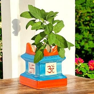 ecofynd 5 inches Tulsi Ceramic Plant Pots, Flower Pot with Drainage Hole, Decorative Modern Indoor Planters, Home Garden Decor for Living Room Bedroom Interior (Sky Blue,CPOT016)