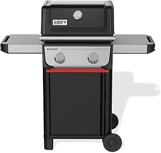 Spirit E-210 Liquid Propane Gas Grill for Outdoor Cooking and BBQ, 2 Burners, Black – Porcelain-Enameled Cast-Iron Grates & Snap-Jet Ignition
