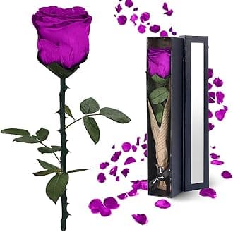 Preserved Flowers Gifts for Women: Valentines Day Mothers Day Birthday Christmas Anniversary Wedding Gift for Mom Girlfriend Wife Grandma Forever Rose for Her Purple Single Rose