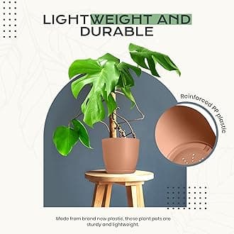 Utopia Home - Plant Pots Indoor with Drainage - 7/6.6/6/5.3/4.8 Inches Home Decor Flower Pots for Indoor Planter - Pack of 10 Plastic Planters for Indoor Plants, Cactus, Succulents Pot - Terracotta