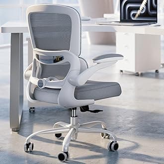 Office Chair - Ergonomic Desk Chair with Adjustable Lumbar Support, Mesh Computer Chair, Executive Chairs for Home Office Comfortable Lumbar Support (White)