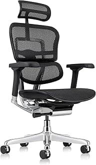 Eurotech GEN2 – High Back Black Mesh Office Chair with Adjustable and Flexible Lumbar Support – Headrest, Seat Slider, Armrests, and Height Adjustment