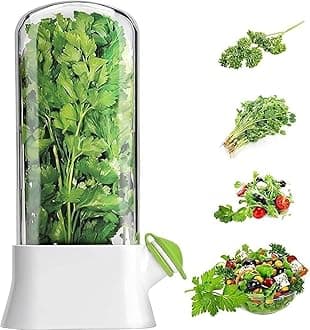 Circle M Stainless Steel Spoon Holder, Modern and Durable Kitchen Utensil Organizer for Spoons, Forks, Knives