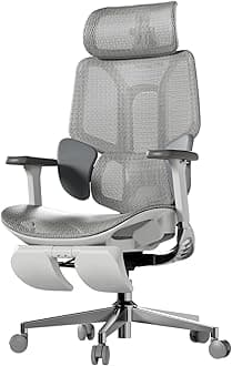 E3 Air Ergonomic Office Chair, Big and Tall Office Chair - with 3-Zone Dynamic Lumbar Support, 3D Adjustable Headrest, 4D Adjustable Armrests, Swivel, Grey(with Footrest)