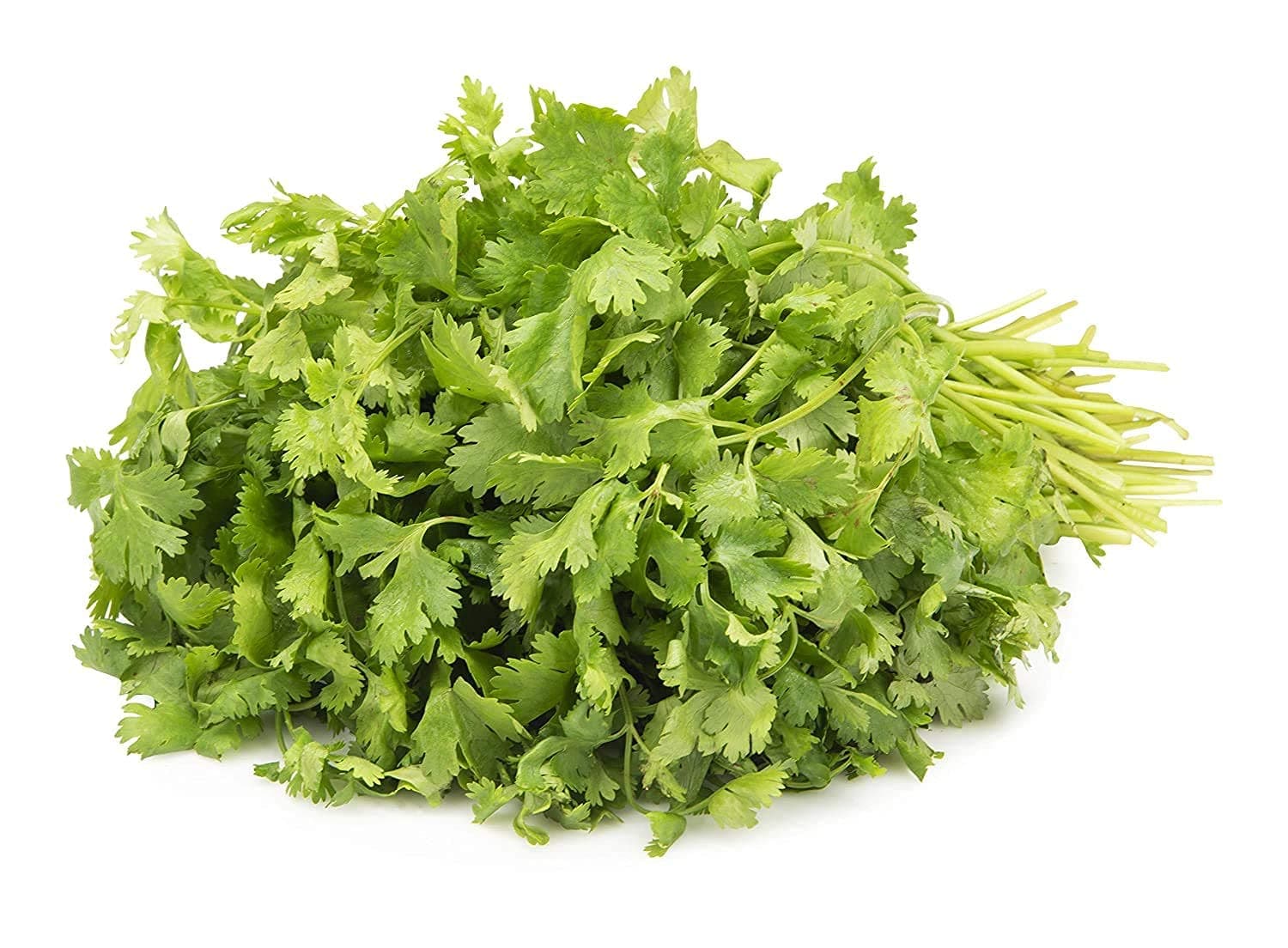 Fresh Coriander, 100 g - Naturally Grown.