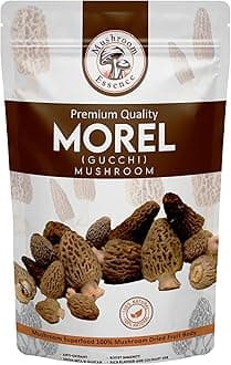 Mushroom Essence Morel Mushroom Jumbo Size Tail Cut Dried Wild Harvested Delicacy | Gucchi Mushroom | 100gm (50g Pack of 2) | Supreme Grade Hand Picked Morels