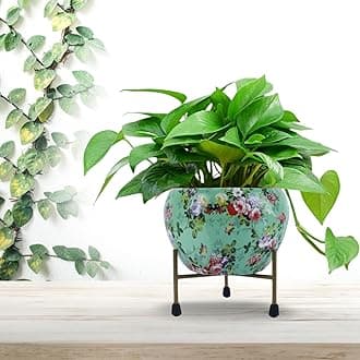 CINAGRO Floral-Printed Flower Pot/Container with Iron Stand for Home & Garden Decor, Suitable for Indoor & Outdoor Plants (Blossom Breeze, Golden Stand)
