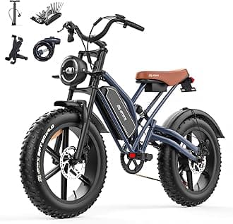 X50 20'' Fat Tyres Electric Bike for Adults, 48V 17Ah Removable Battery & 250W Motor, 7-speed Electric Bicycle with LCD Smart Display NFC Card and Brake Light, CE Off Road Ebike for Adults commuting