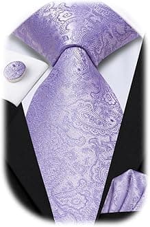 Hi-Tie Paisley Floral Ties Set for Men Silk Mens Stripes Necktie Pocket Square Cufflinks Set Formal Business