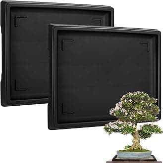 Pinkunn 2 Pcs Bonsai Humidity Tray Rectangular Drip Tray Plastic Plant Water Catcher Plant Saucers for Indoors and Outdoors Cactus,Succulents,Bonsai Tree,Stone Not Included (15.7 x 13 Inch)