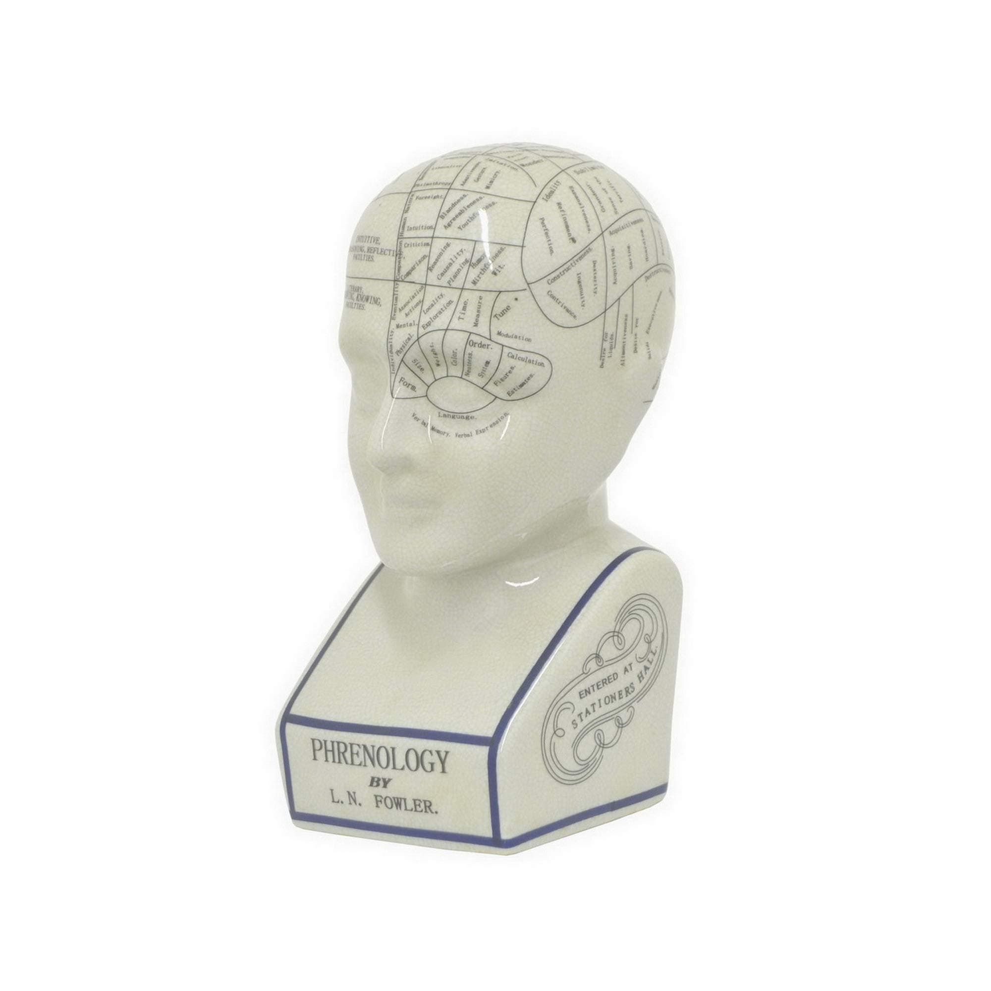 Three Hands 9" Phrenology Head in White