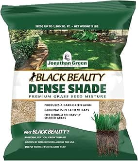 Dense Shade Seed 1.4kg