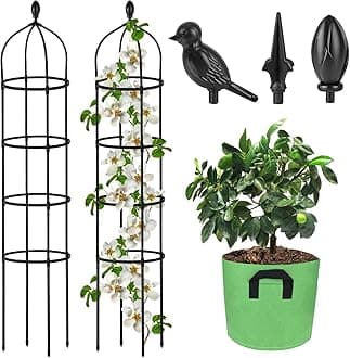 Garden Obelisk Trellis for Climbing Plants Outdoor 6 Ft Rose Bush Round Trellis with Grow Bag for Pots Rustproof Metal Plant Flower Trellises for Clematis Vine Jasmine Support Outdoor Indoor