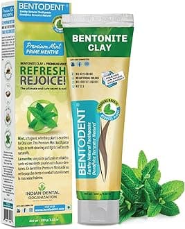 Bentodent Toothpaste | Natural, Fluoride Free, Foam Free & SLS Free (100g (pack of 1), Premium Mint)