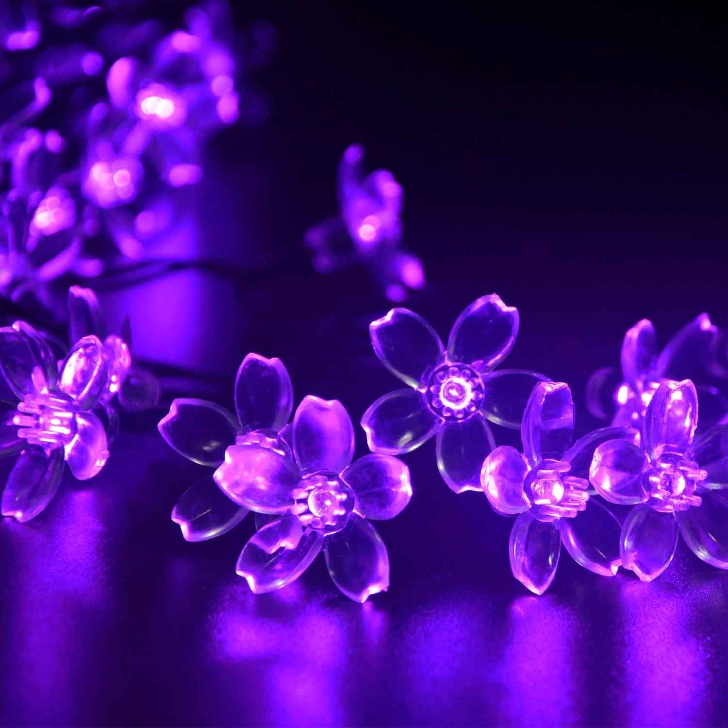 Wish you have a nice day Decoration String Lights,40 leds Blossom Christmas and Halloween String Lights Battery Operated for holiday,Party,Wedding(Purple, Battery)
