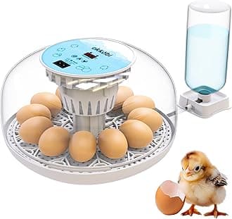 Okkobi M12 | Egg Incubator with Automatic Egg Turning and Humidity Control - 12/24 Eggs, 360° View, Easy to Use and Clean - Egg Incubators for Hatching Eggs - Incubadora de Huevos de Gallina