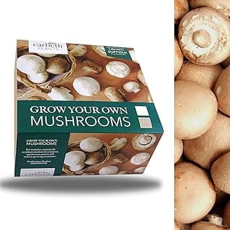 – Carbeth Plants Mushroom Growing Kit - Grow Your Own Brown Button Suffolk Mushrooms - Perfect For Beginners - Educational Grow Our Kits With The Little Ones