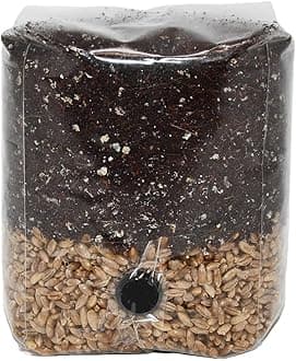 Mini All in One Mushroom Grow Bag