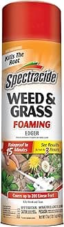 Weed & Grass Foaming Edger, Aerosol, 17-Ounce