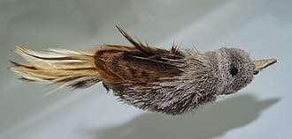 House Finch Bird Refill/Attachment- Fits Wildcat and Popular Bird and Mouse Type Wands/Poles