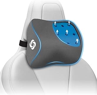 Samsonite Car Neck Pillow