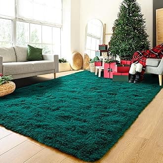 HOMORE Teal Green Rugs for Bedroom, 4x6 Feet Fluffy Area Rug Modern Shag Rugs for Living Room, Super Soft Rug for Kids Room, Cute Carpets for Children Nursery Dorm Home Decor