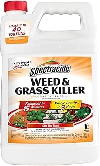 Spectracide Weed And Grass Killer Concentrate 1 Gallon, Use On Patios, Walkways And Driveways