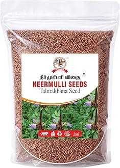 VS Products Neermulli | Hygrophila auriculata | Marsh Barbel | Kokilaksha Seed, 300g