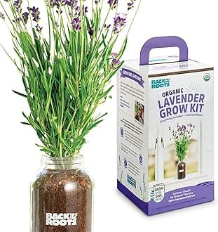 Back to the Roots Lavender Organic Windowsill Planter Kit-Grows Year Round, Includes Everything Needed for Planting