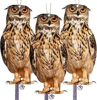3 Pack Bird Scare Owl, Reflective Hanging Bird Decoration, Dual-Side Printed Owl to Keep Birds Pigeon Away from Patio Garden