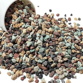 Succulent Cactus Soil Potting Mix Horticultural Lava Rocks Bonsai Soil for Indoor Plants Drainage Volcanic Rock for Terrarium Gardening Top Dressing 10lb