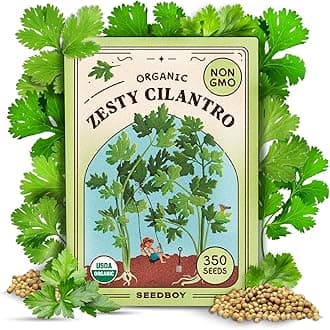 Seedboy Organic Cilantro 'Slow Bolt' Seeds for Planting Indoor and Outdoor, Non-GMO and USDA Certified Herb Seed Packet for Hydroponic Garden Indoor or Planting Outdoors (Cilantro)