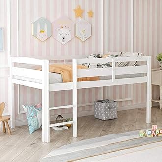 Bellemave Low Loft Bed with Ladder, Wood Loft Bed Twin Size for Adults, Kids and Young Teens, No Box Spring Required,Wood Slat Support (White, Front Ladder)