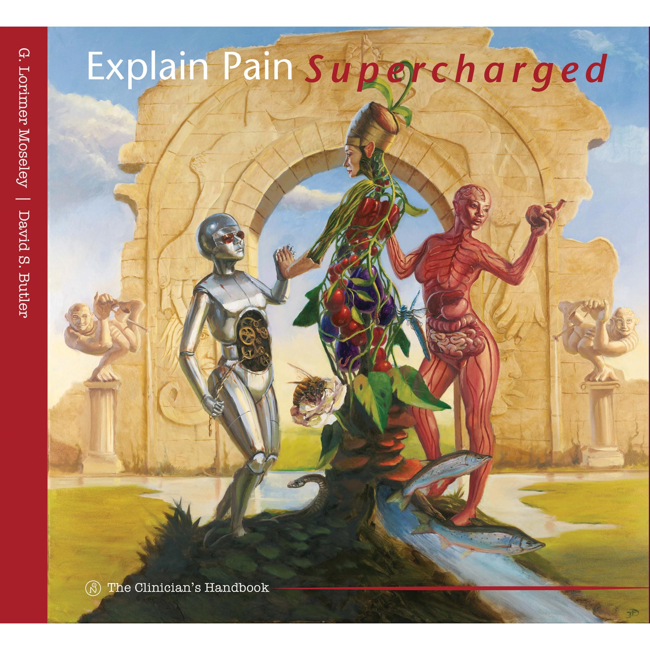 Explain Pain Supercharged Spiral-bound – 1 Jan. 2017
