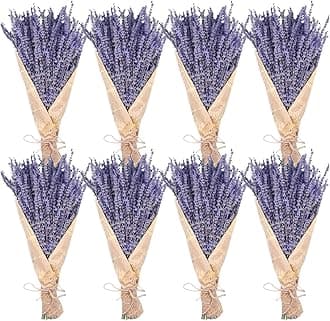 8 Bundles Dried Lavender Bundles, Uieke Natural Dried Lavender Flowers 1200 Stems 16“ for Home Weeding Decoration Flower Arrangements Photo Props Home Decor